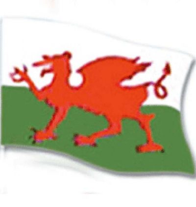 Flag 5`x3` Wales (PP00818)