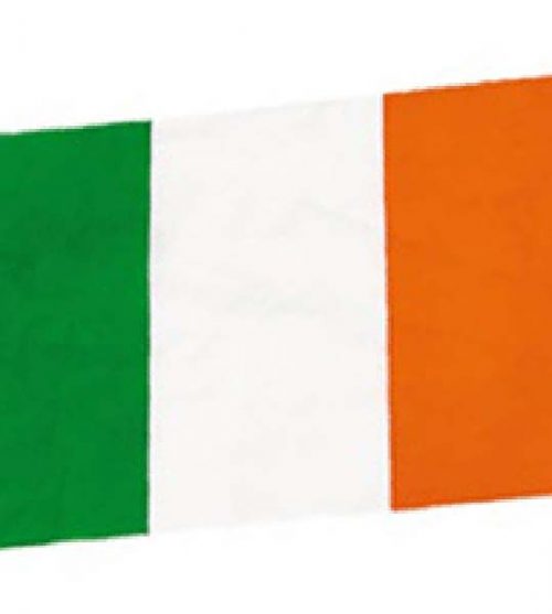 Flag 5`x 3` Ireland (PP00819)