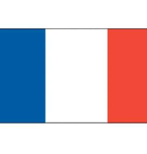 Flag 5`x3` France (P00821)