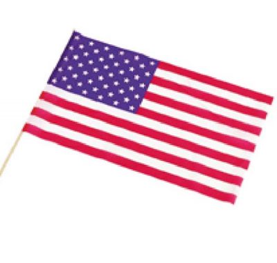 Waver Flag  USA (PP00829)