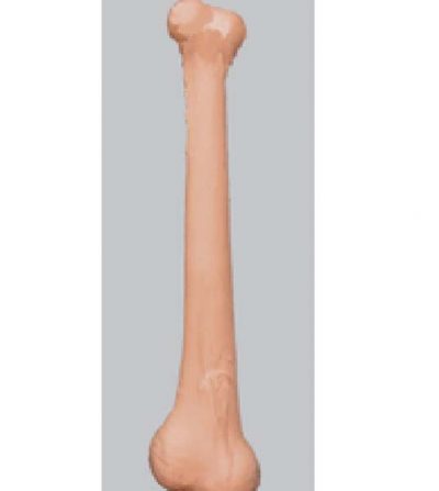 Caveman Bone ( PP00930)