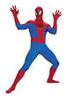 Spiderman (PP01362)