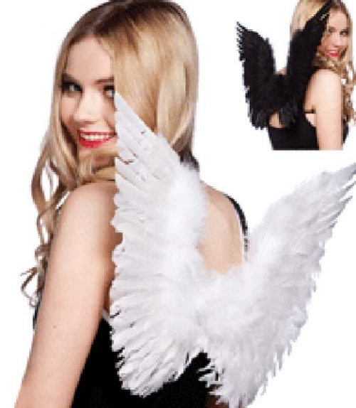 Angel Wings Feathers (PP03022)