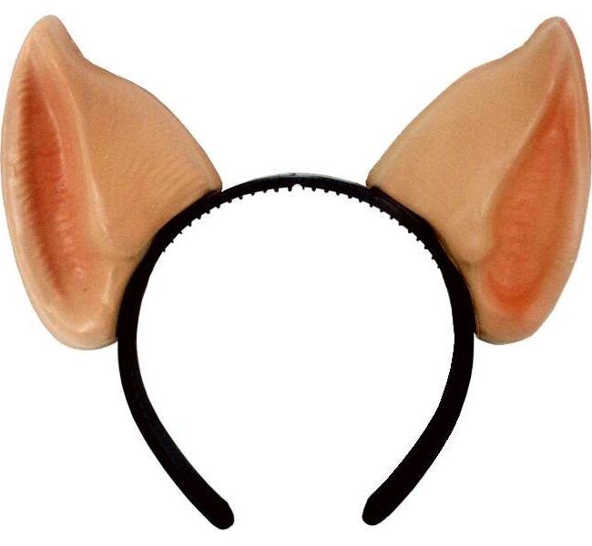Pig Ears (PP05236)
